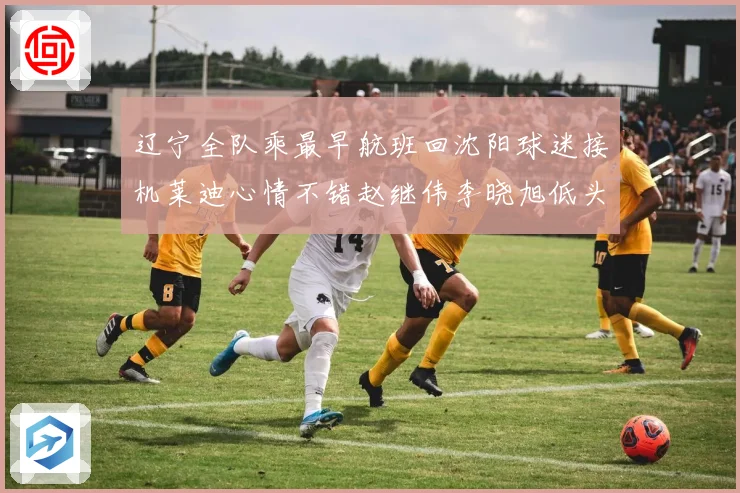 辽宁全队乘最早航班回沈阳球迷接机莱迪心情不错赵继伟李晓旭低头赛场复盘