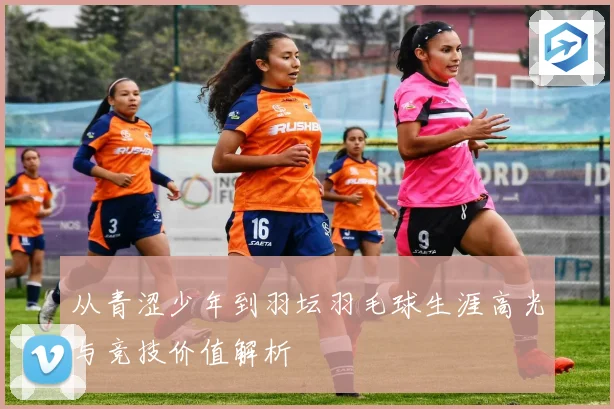 从青涩少年到羽坛羽毛球生涯高光与竞技价值解析