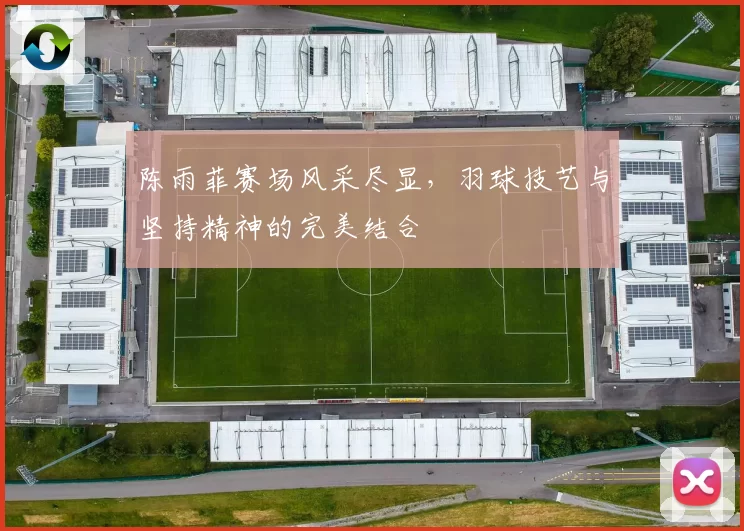 陈雨菲赛场风采尽显，羽球技艺与坚持精神的完美结合