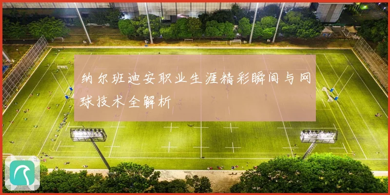 纳尔班迪安职业生涯精彩瞬间与网球技术全解析