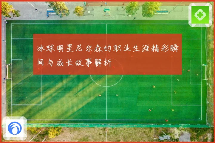 冰球明星尼尔森的职业生涯精彩瞬间与成长故事解析