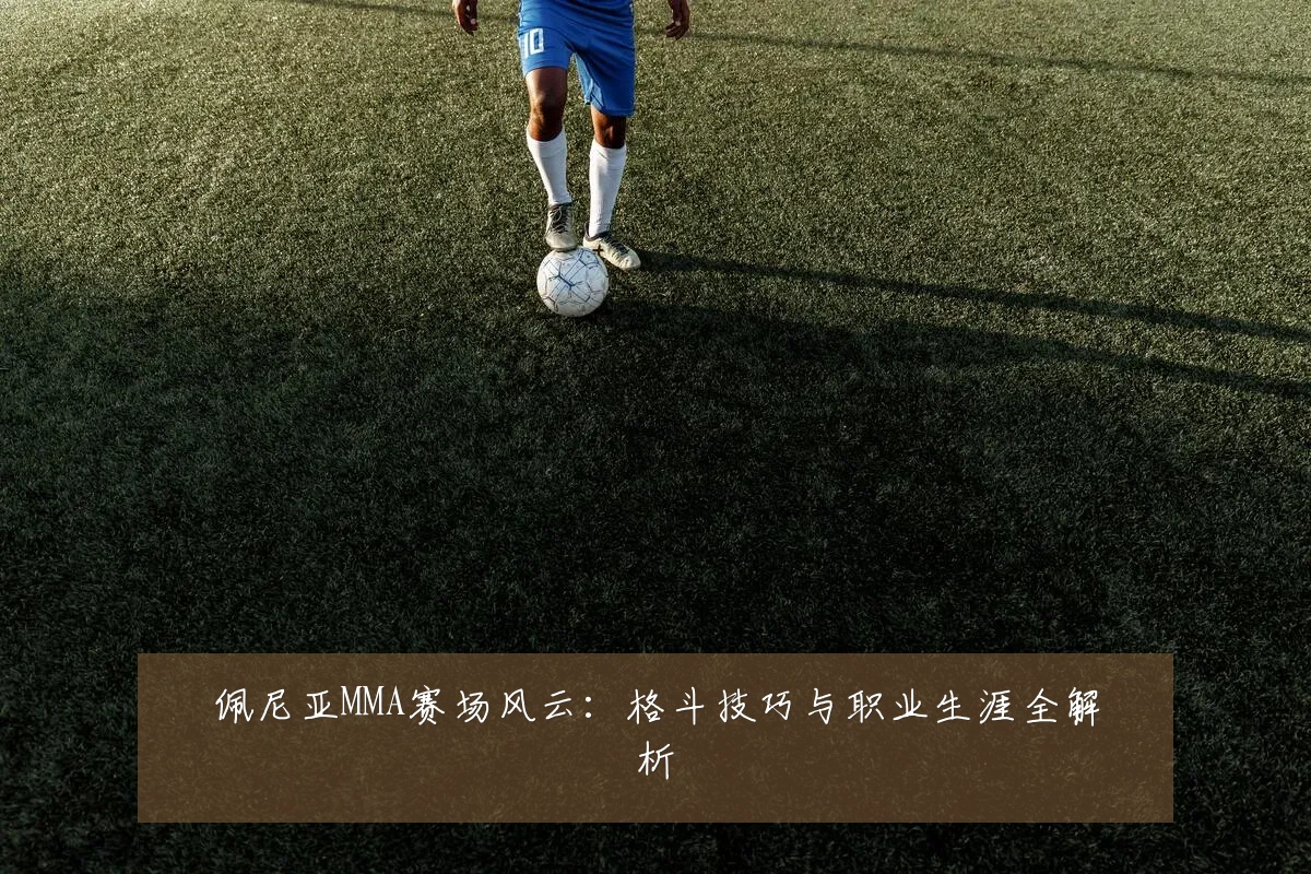 佩尼亚MMA赛场风云:格斗技巧与职业生涯全解析