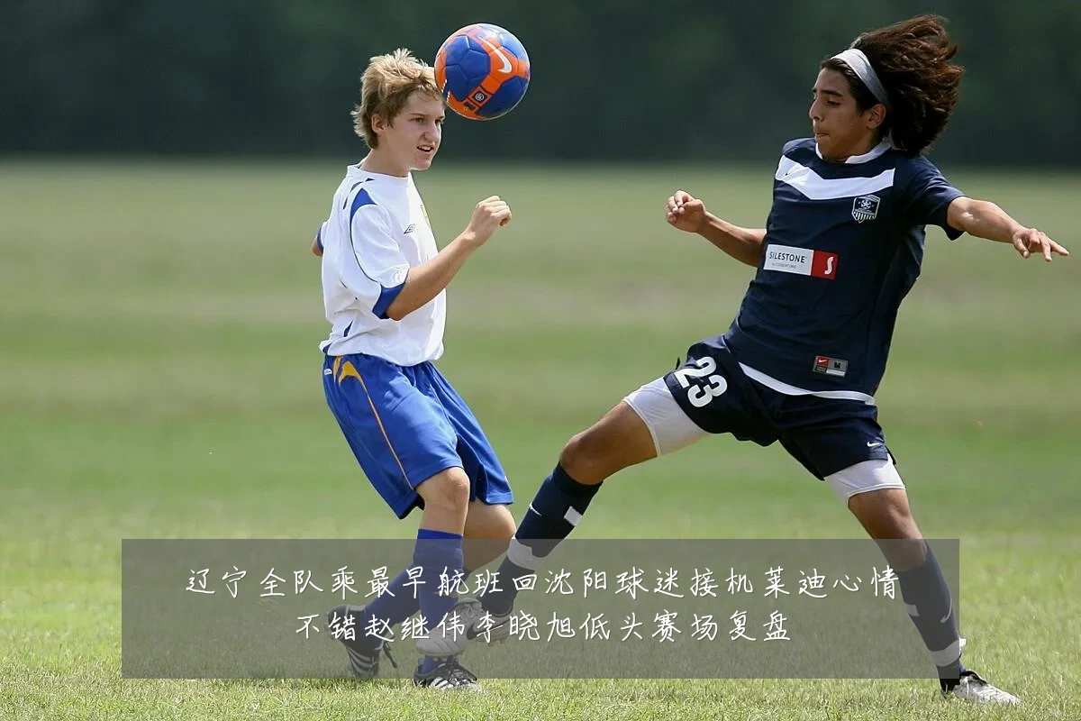 辽宁全队乘最早航班回沈阳球迷接机莱迪心情不错赵继伟李晓旭低头赛场复盘